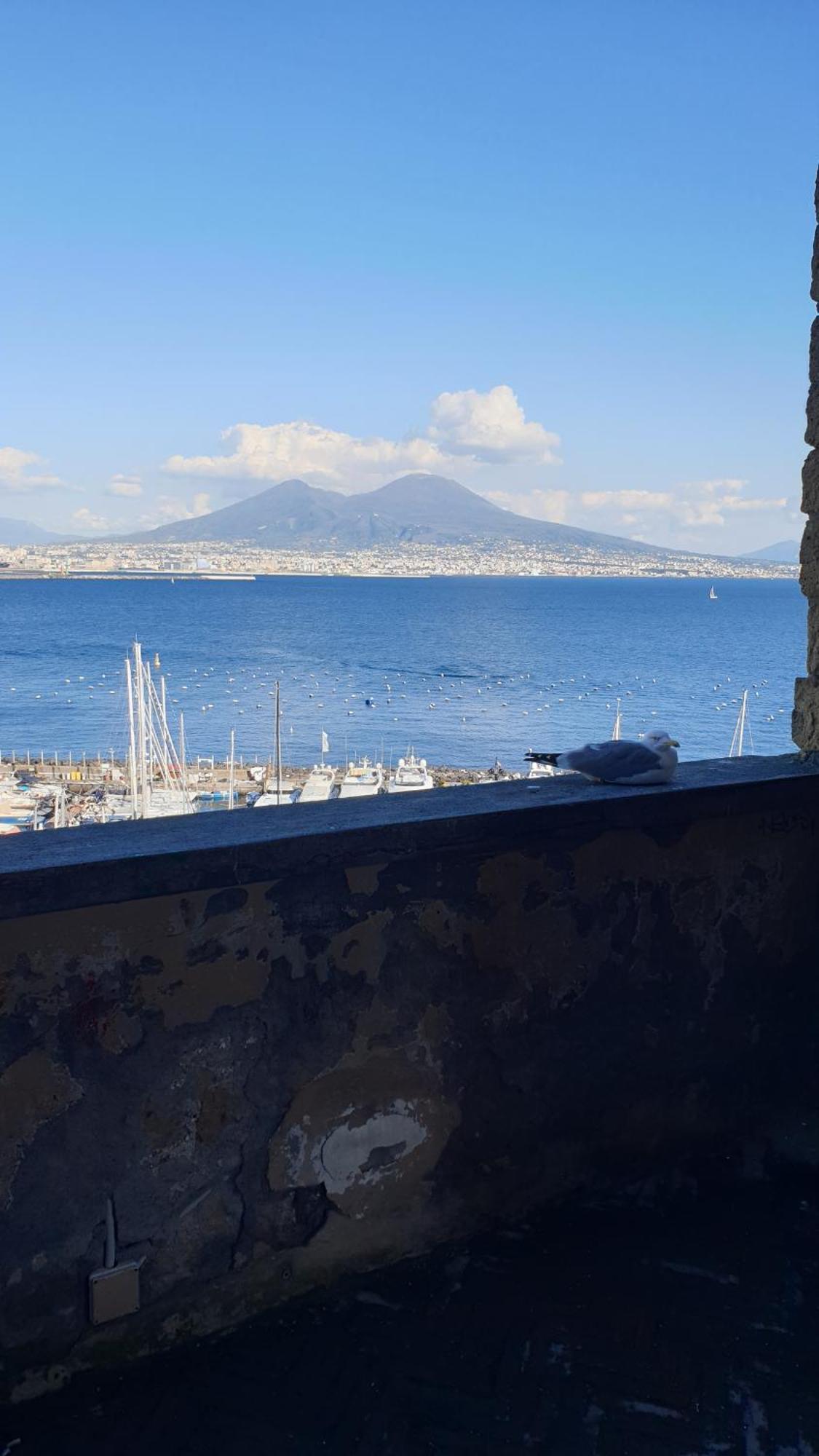Appartamento Lucullo's Napoli